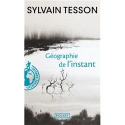 GEOGRAPHIE DE L'INSTANT (TESSON SYLVAIN)