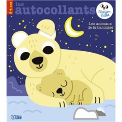 AUTO MARION BILLET BANQUISE