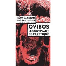 OVIBOS - LE SURVIVANT DE L'ARCTIQUE (MARION/GESSAIN)
