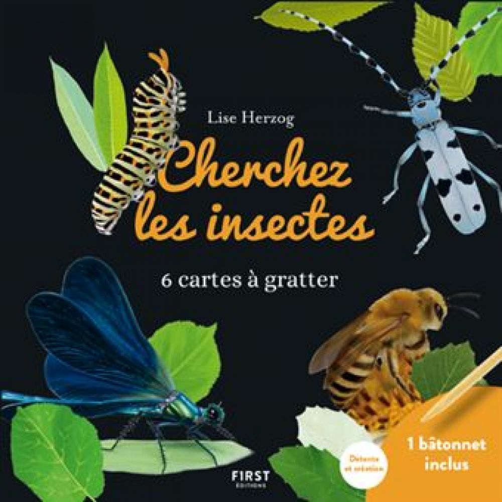 CARTES A GRATTER - CHERCHEZ LES INSECTES (COLLECTIF)