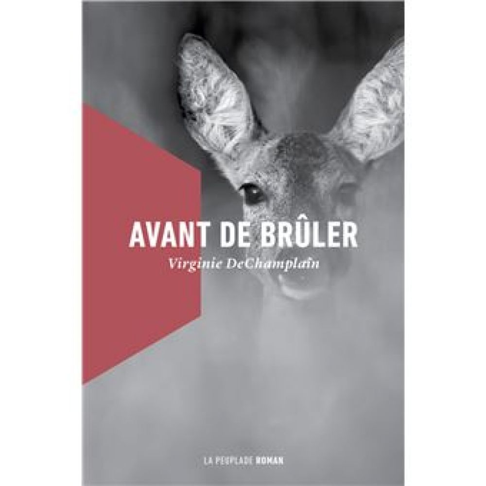 AVANT DE BRULER (DECHAMPLAIN VIRGINIE)