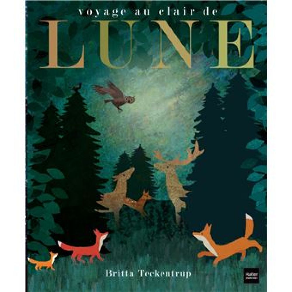 VOYAGE AU CLAIR DE LUNE (TECKENTRUP BRITTA)
