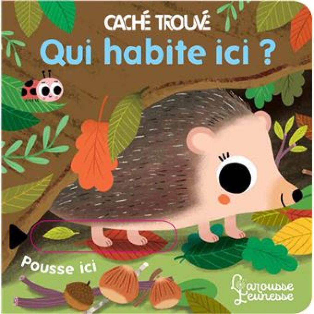 QUI HABITE ICI ? (SONIA BARETTI)