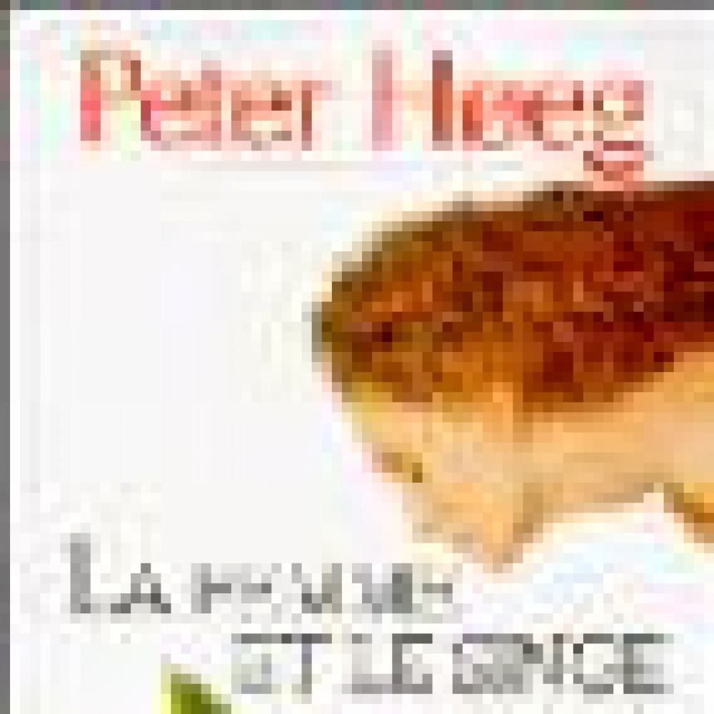 LA FEMME ET LE SINGE (PETER HOEG)
