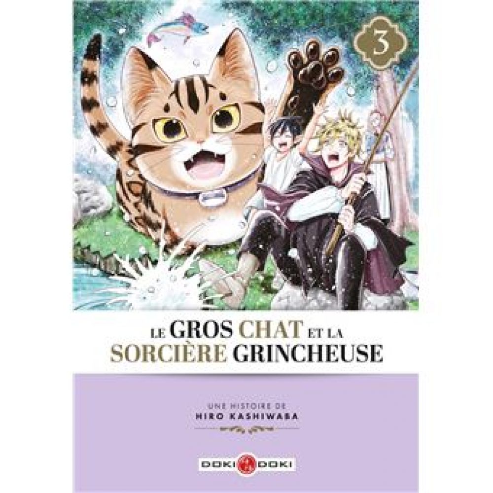 LE GROS CHAT ET LA SORCIÈRE GRINCHEUSE - VOL. 03 (HIRO KASHIWABA)