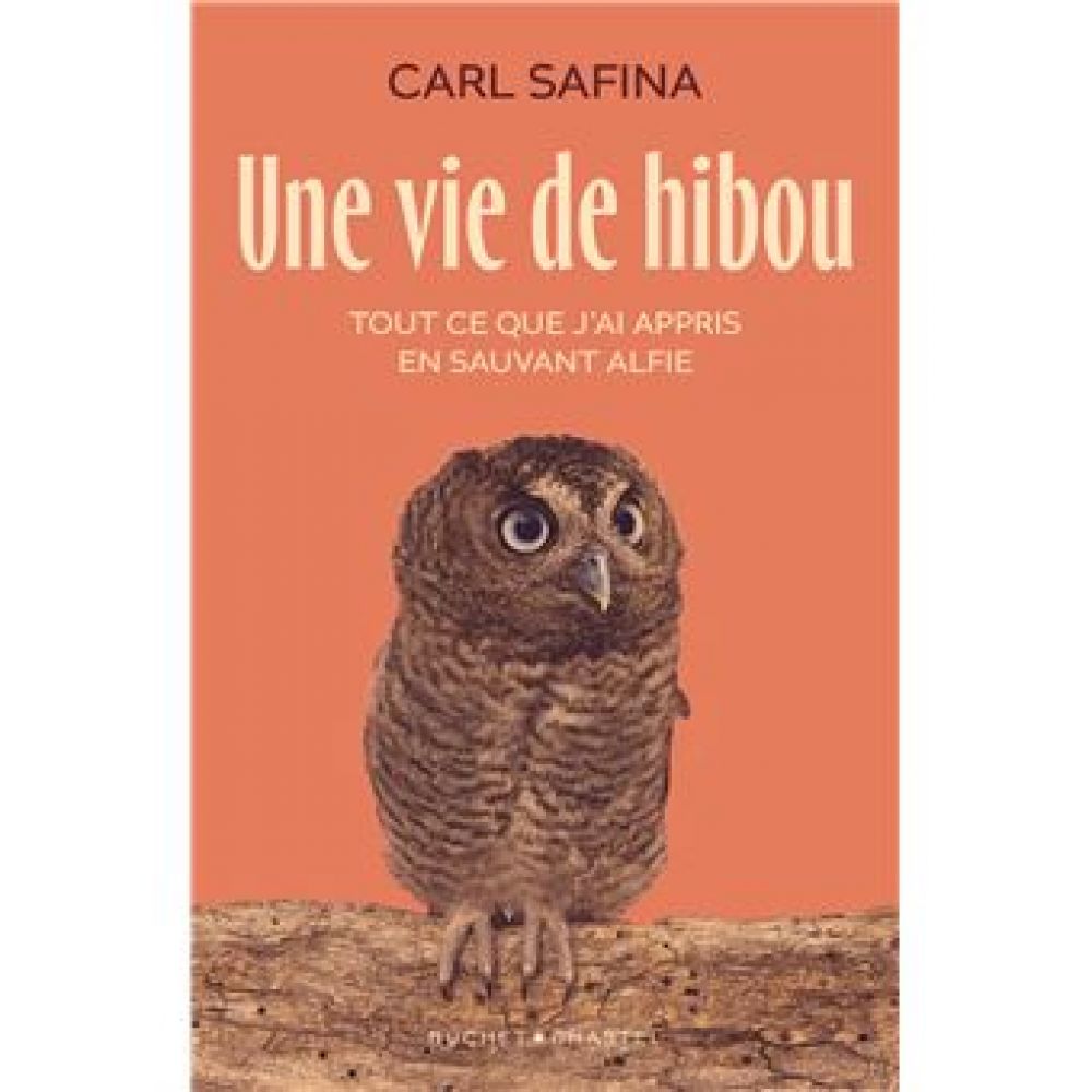 UNE VIE DE HIBOU (SAFINA CARL)