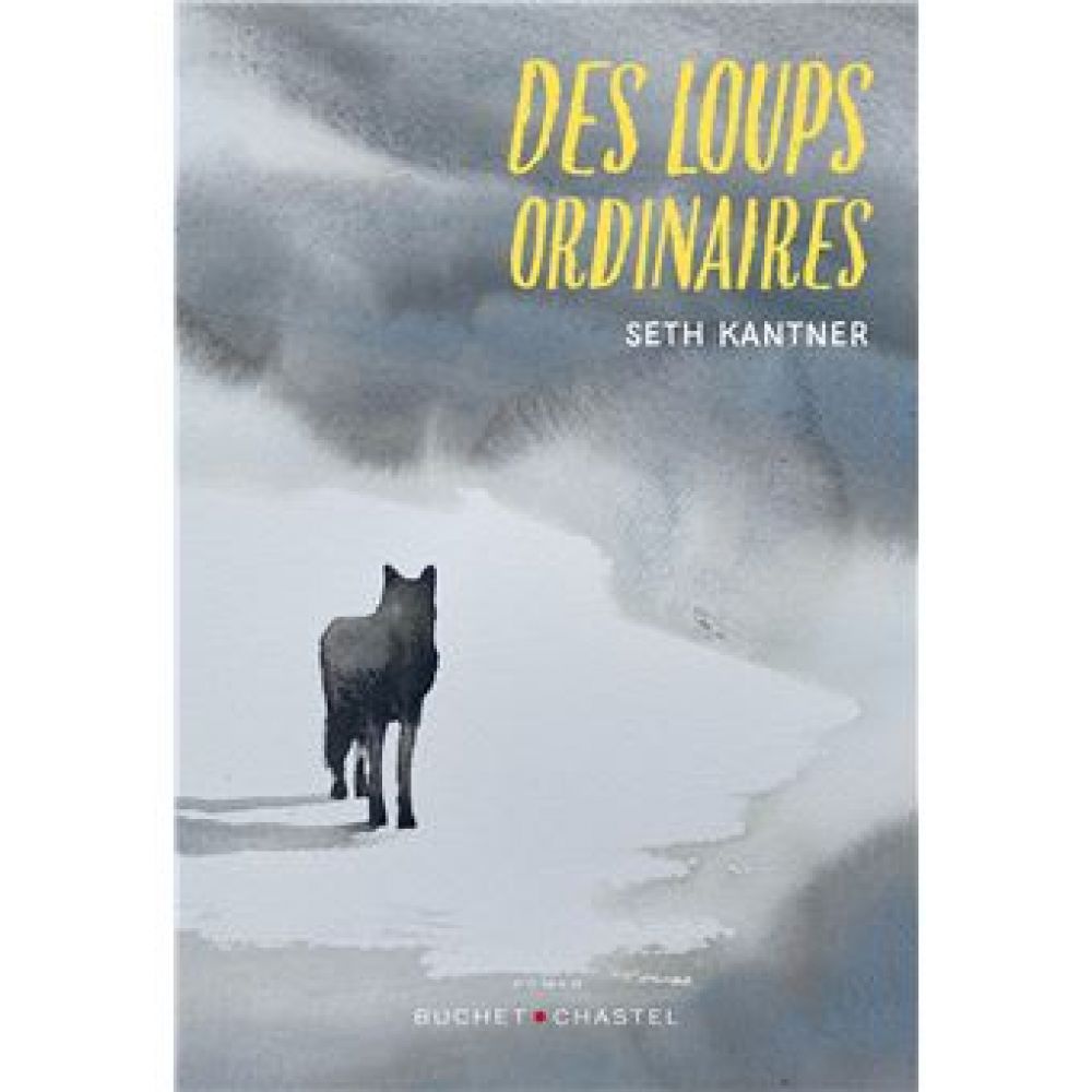 DES LOUPS ORDINAIRES (KANTNER SETH)