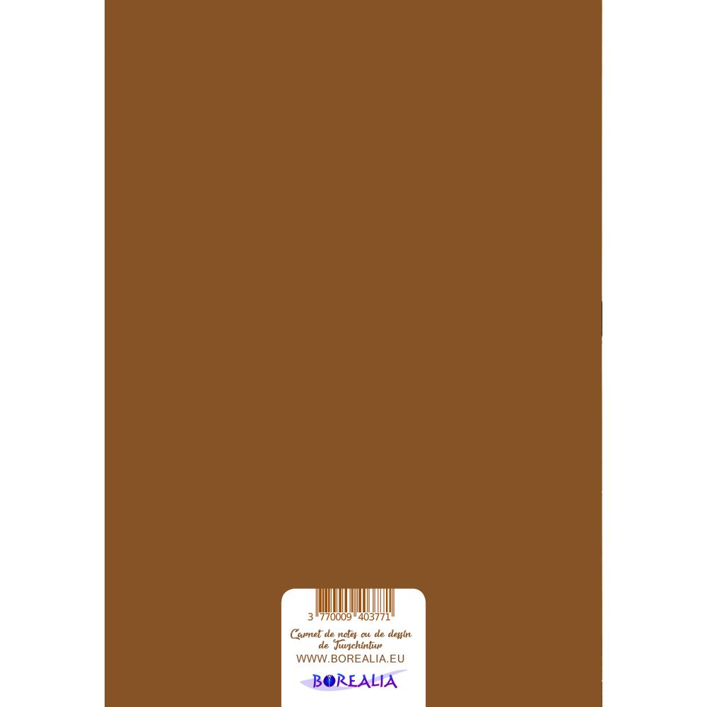 CARNET GRAND FORMAT "LA FILLE AU FAUCON" – Image 2