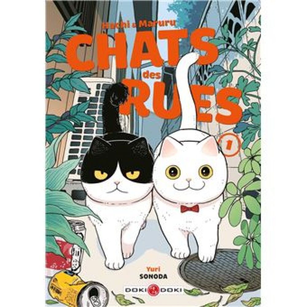 HACHI & MARURU - CHATS DES RUES - T01 - HACHI & MARURU - CHATS DES RUES - VOL. 01 (SONODA YURI)