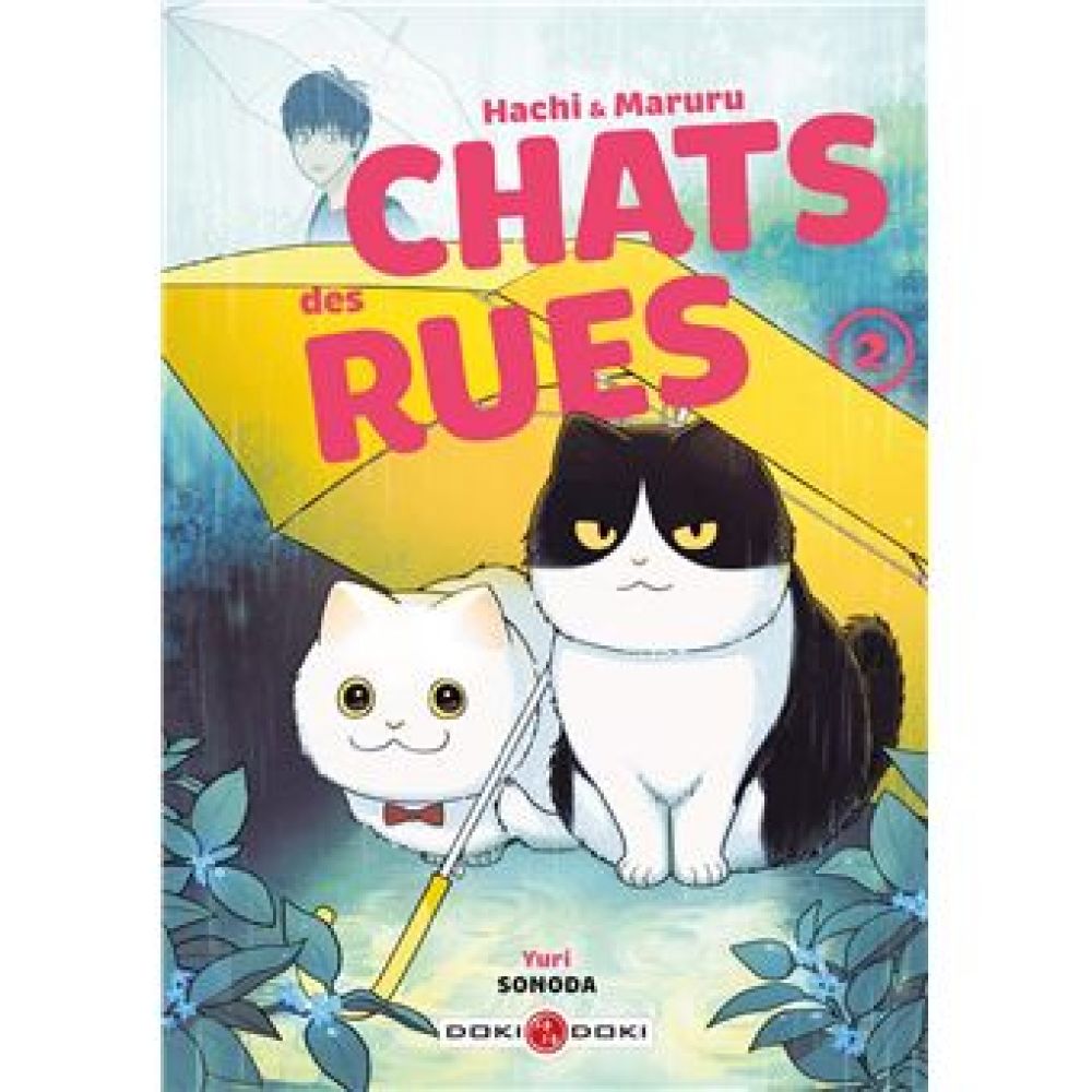 HACHI & MARURU - CHATS DES RUES - T02 - HACHI & MARURU - CHATS DES RUES - VOL. 02 (SONODA YURI)