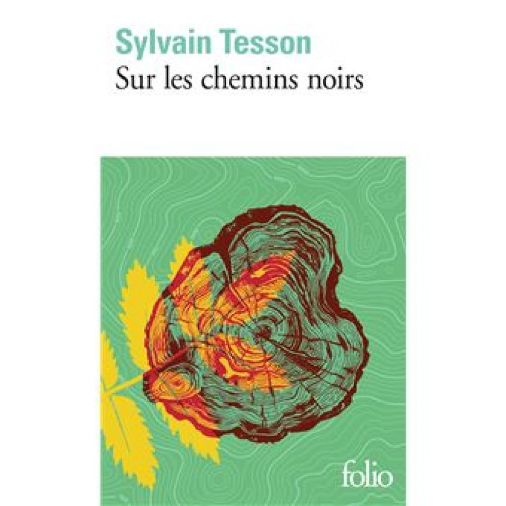 SUR LES CHEMINS NOIRS (TESSON SYLVAIN)