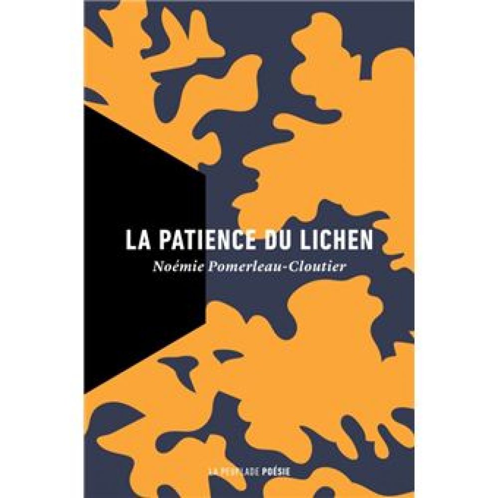 LA PATIENCE DU LICHEN (POMERLEAU-CLOUTIER)