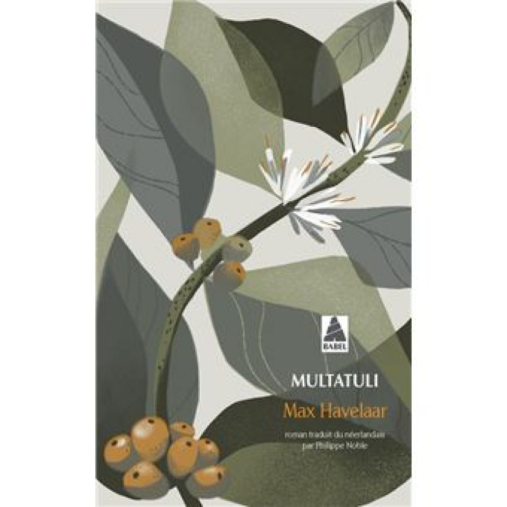 MAX HAVELAAR (MULTATULI)