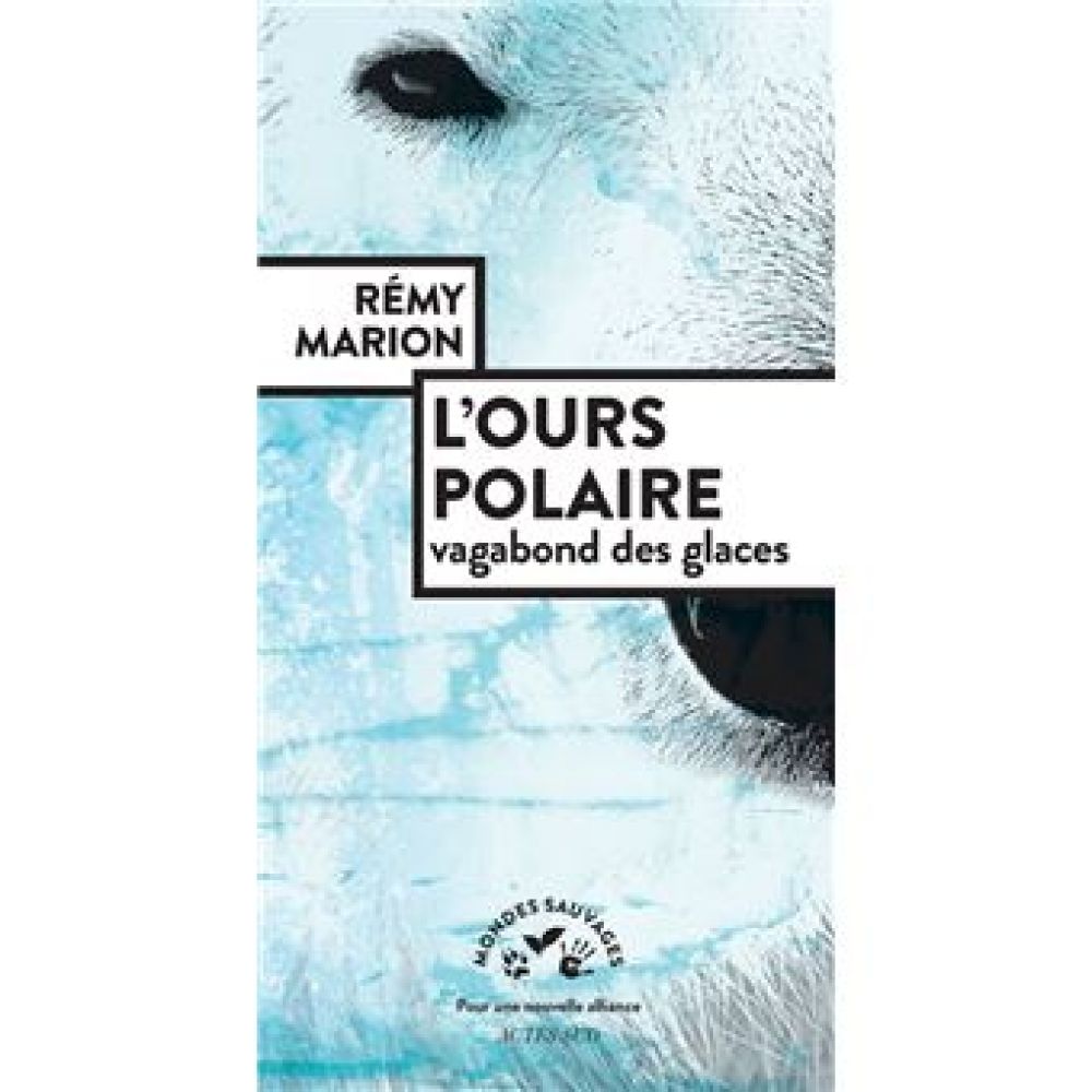 L'OURS POLAIRE, VAGABOND DES GLACES (MARION REMY)