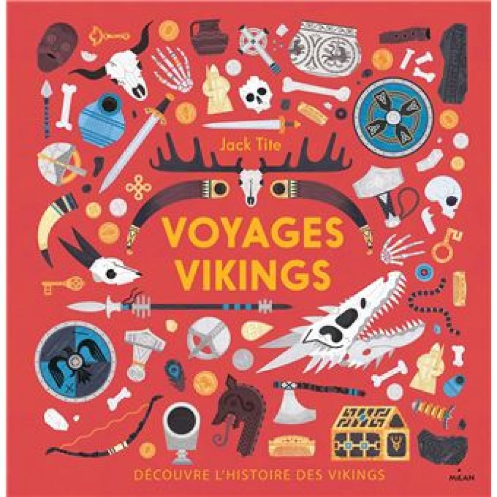 VOYAGE VIKINGS. DECOUVRE L'HISTOIRE DES VIKINGS (TITE, JACK)