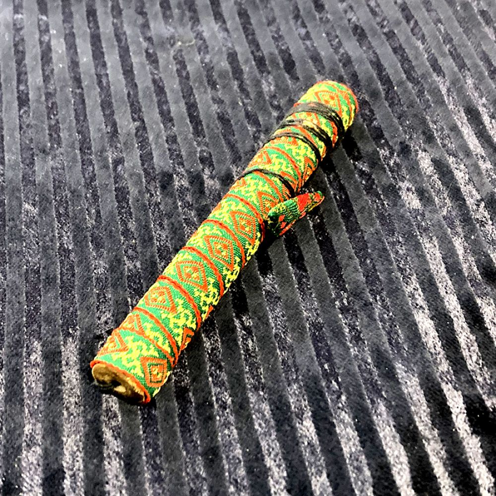 GUIMBARDE DU VIETNAM (DAN MOI)