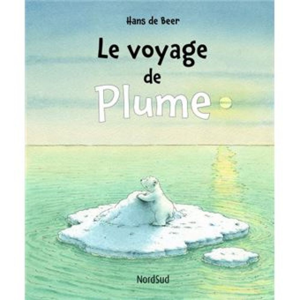 VOYAGE DE PLUME (DE BEER HANS)