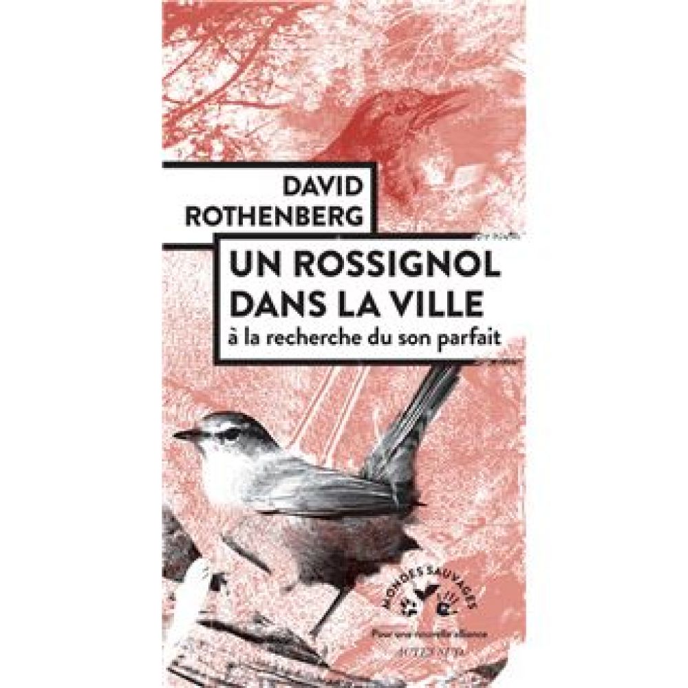 UN ROSSIGNOL DANS LA VILLE (ROTHENBERG DAVID)