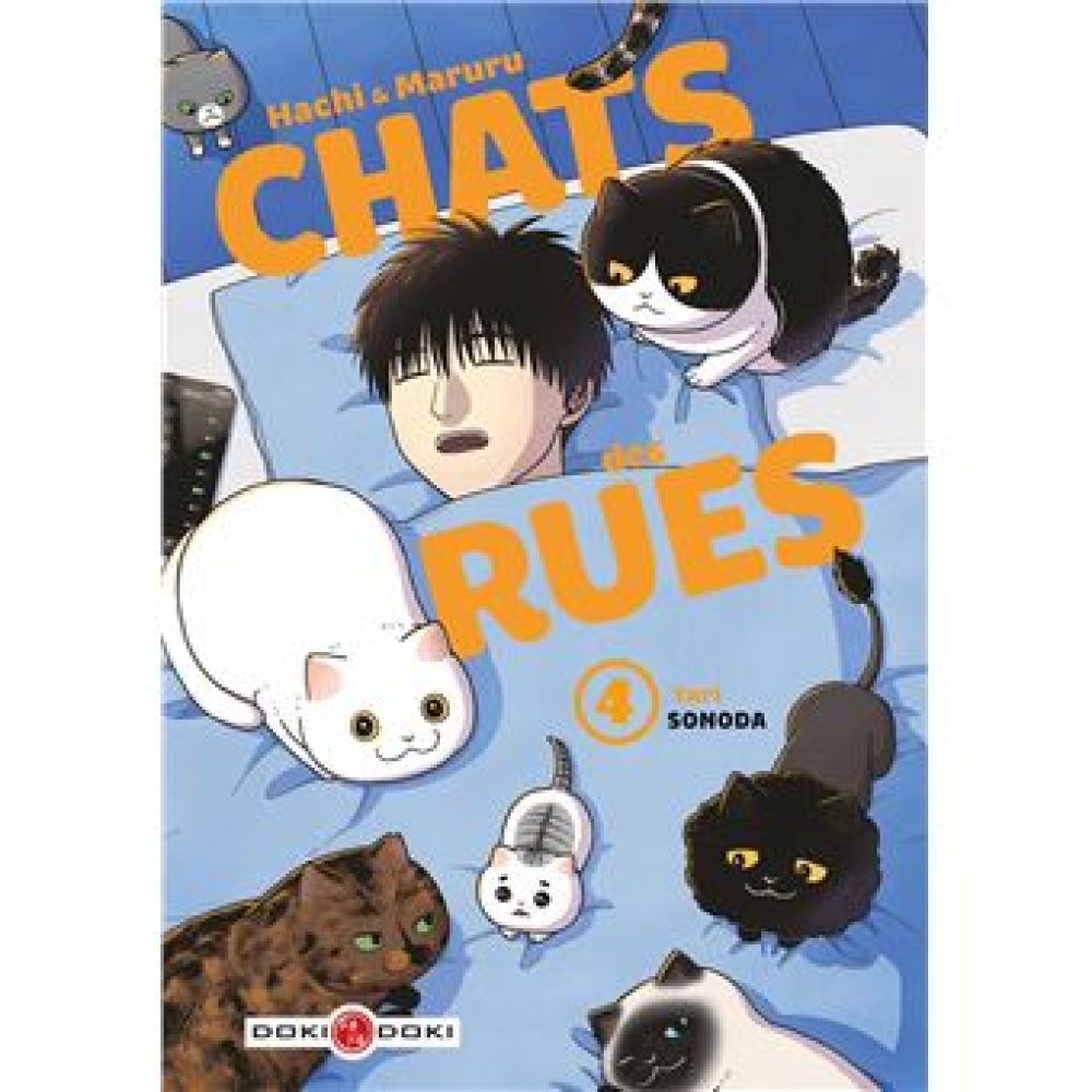 HACHI & MARURU - CHATS DES RUES - T04 - HACHI & MARURU - CHATS DES RUES - VOL. 04 (SONODA YURI)