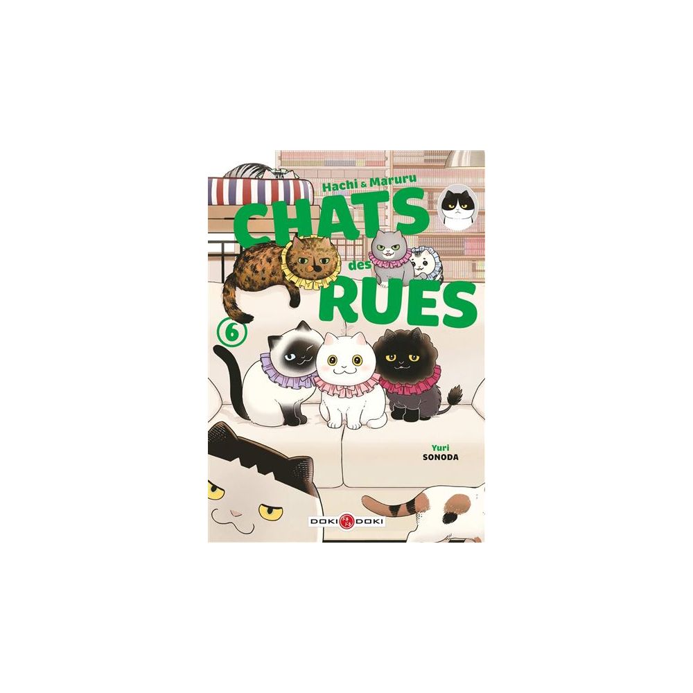 HACHI & MARURU - CHATS DES RUES - T06 (SONODA YURI)