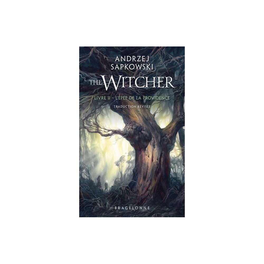 SORCELEUR (WITCHER) - POCHE, T2 : L'EPEE DE LA PROVIDENCE (SAPKOWSKI/PAILLET)