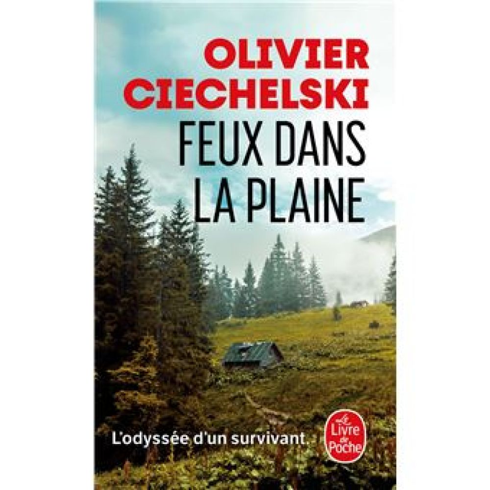 FEUX DANS LA PLAINE