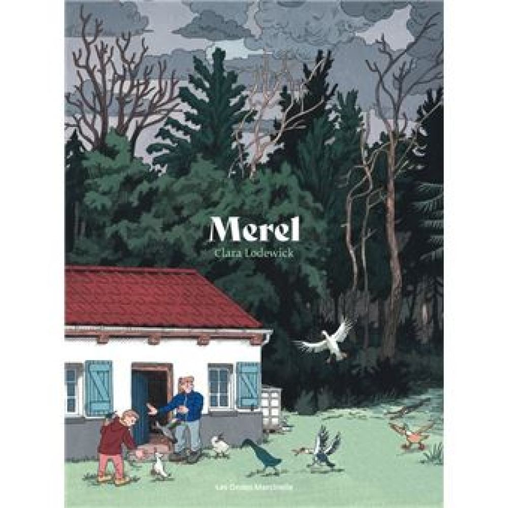 LES ONDES MARCINELLE - MEREL (LODEWICK CLARA)