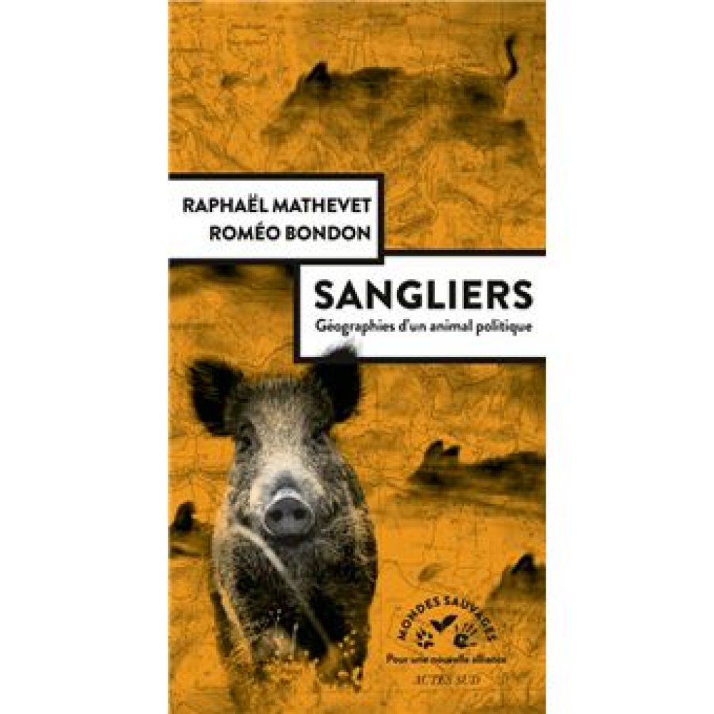 SANGLIERS, GEOGRAPHIES D'UN ANIMAL POLITIQUE (MATHEVET/BONDON)