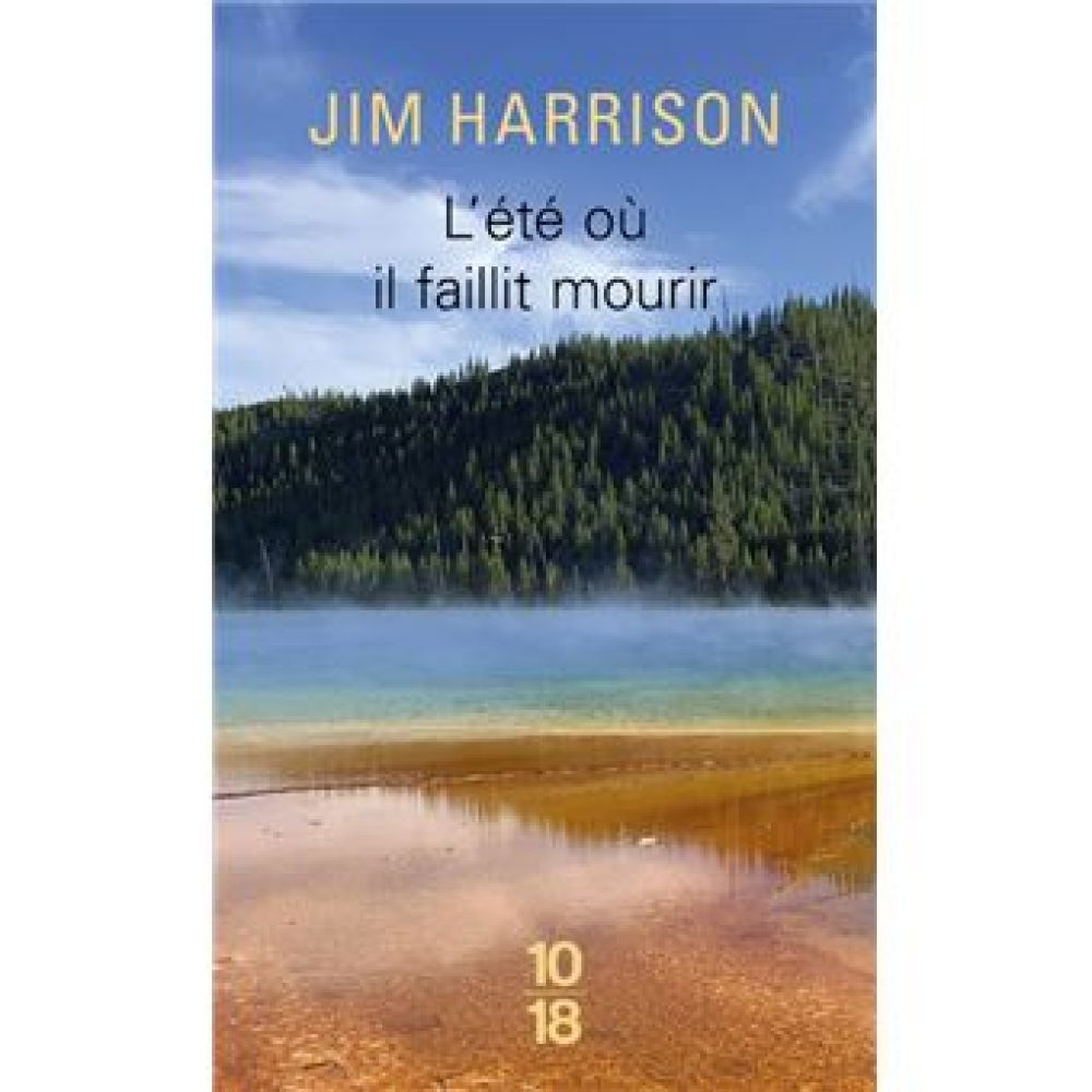 L'ETE OU IL FAILLIT MOURIR (HARRISON JIM)