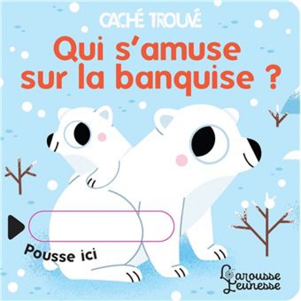 QUI S'AMUSE SUR LA BANQUISE ? (SORTE MARTA)