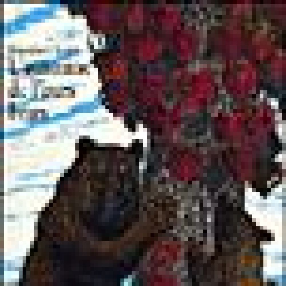 L'AUTOMNE DE L OURS BRUN (TEJIMA KEIZABURO)
